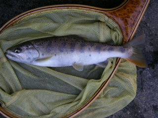 07.jpg