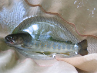 12072805.jpg