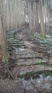 13120113.jpg