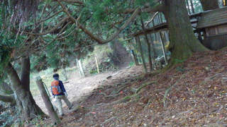 13120117.jpg