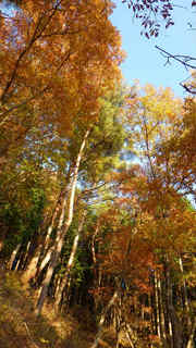 13120118.jpg