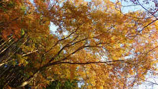 13120119.jpg