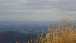 13120812.jpg