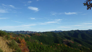 14112142.jpg