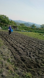 15042303.jpg