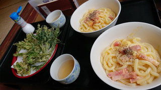19053105.jpg