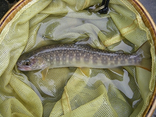 2010-09-24 11-26-20_0001.jpg