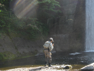 2012061511.jpg