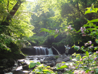 2012061512.jpg