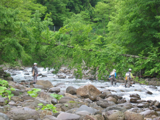 2012061704.jpg