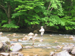 2012061705.jpg