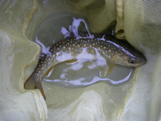 2012061706.jpg