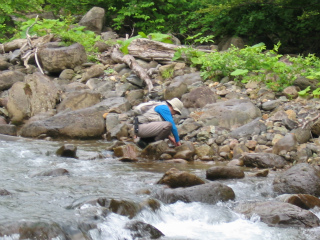 2012061707.jpg