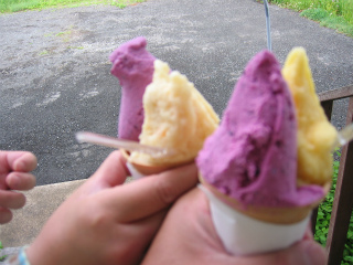 2012061709.jpg