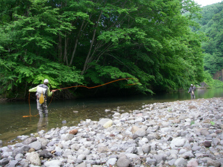 2012061711.jpg