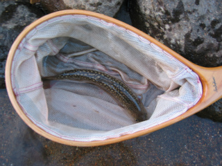 2012061713.jpg
