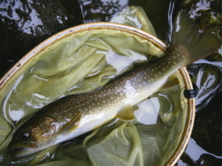 2012061806.jpg