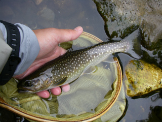 2012061808.jpg