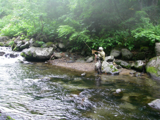 2012061809.jpg