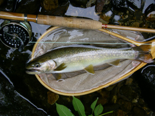 2012061811.jpg