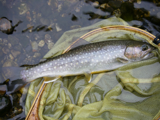2012061814.jpg