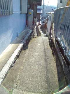 20130309_DSC_0046.jpg