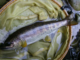 20130504_9.jpg
