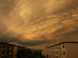 20130825_P9040015.jpg