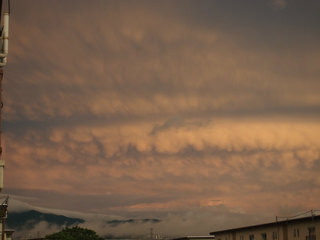 20130825_P9040020.jpg
