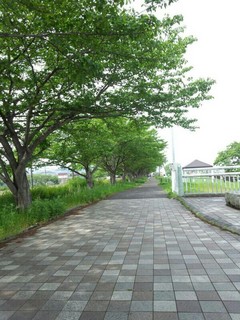 20140528_3.jpg