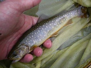 2014061402.jpg