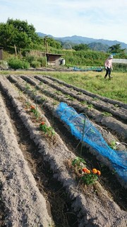 2015051705.jpg