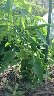 2015062104.jpg