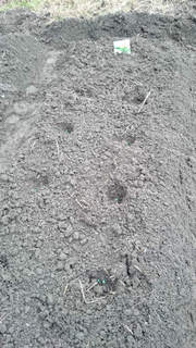 2015112806.jpg