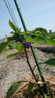 2016051412.jpg