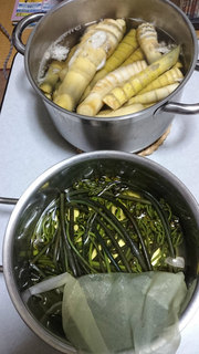 2018042110.jpg