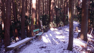 22012102.jpg