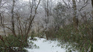 22012104.jpg