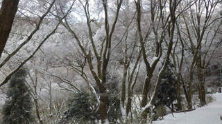 22012106.jpg