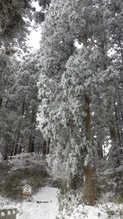 22012112.jpg