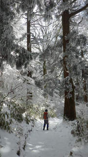 22012117.jpg