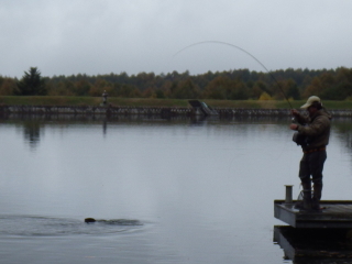 2803.jpg