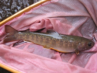 IMG_5391.jpg