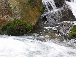 IMG_5395.jpg
