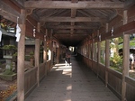 IMG_5953.jpg