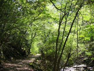 IMG_6853.jpg