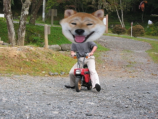 tarou.jpg
